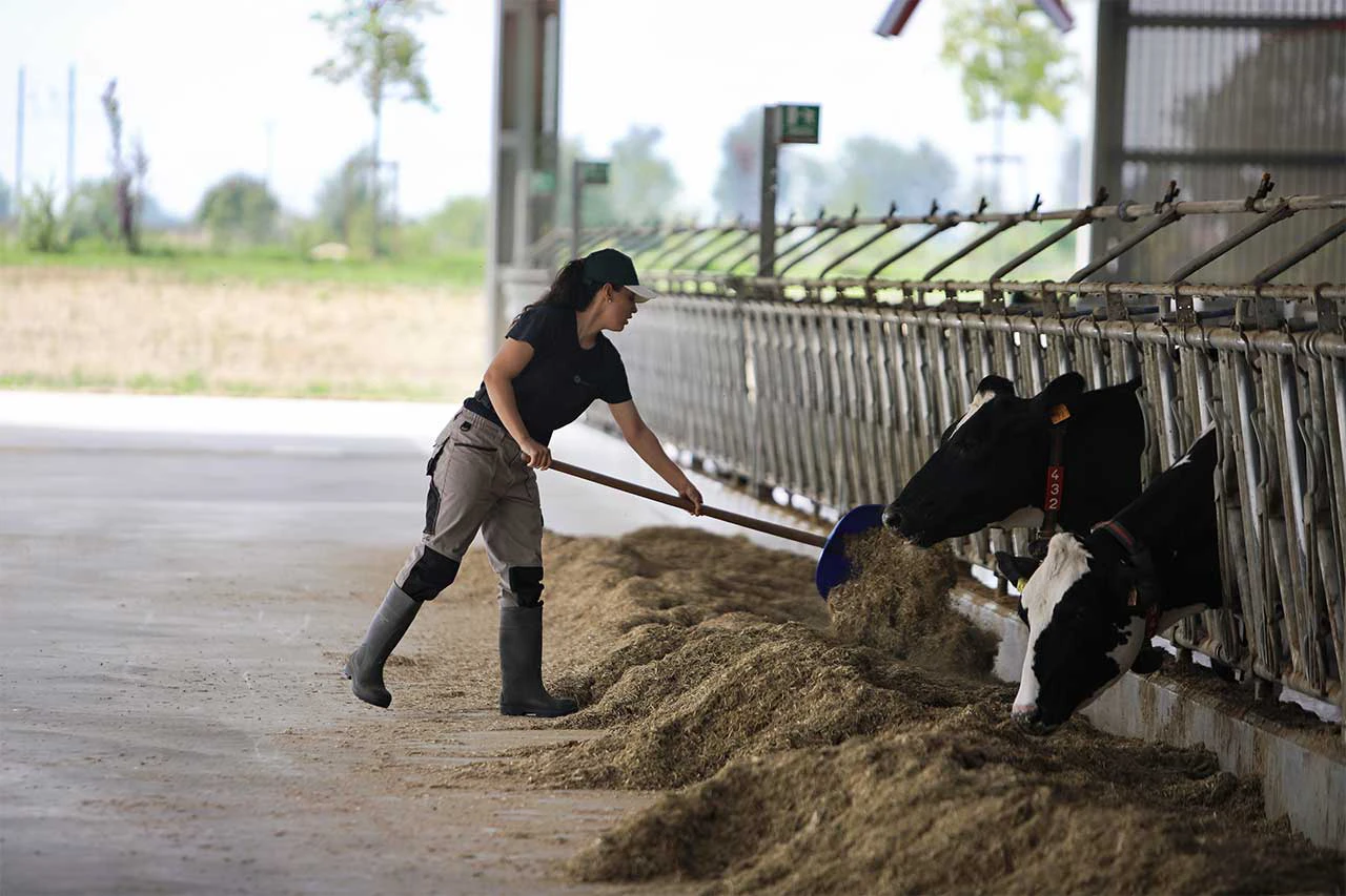 risaia-del-duca-azienda-agricola-per-agraria-zootecnica
