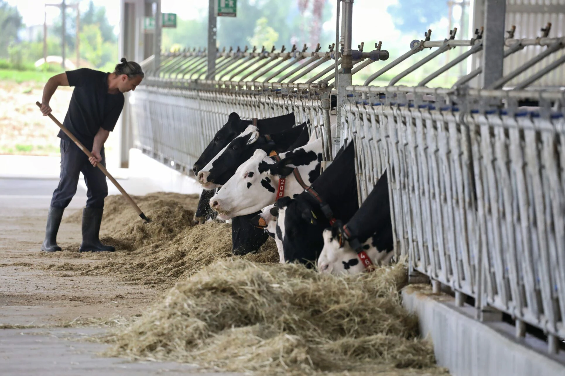 risaia-del-duca-mission-progetto-di-riqualificazione-impresa-agrozootecnica-emilia-romagna