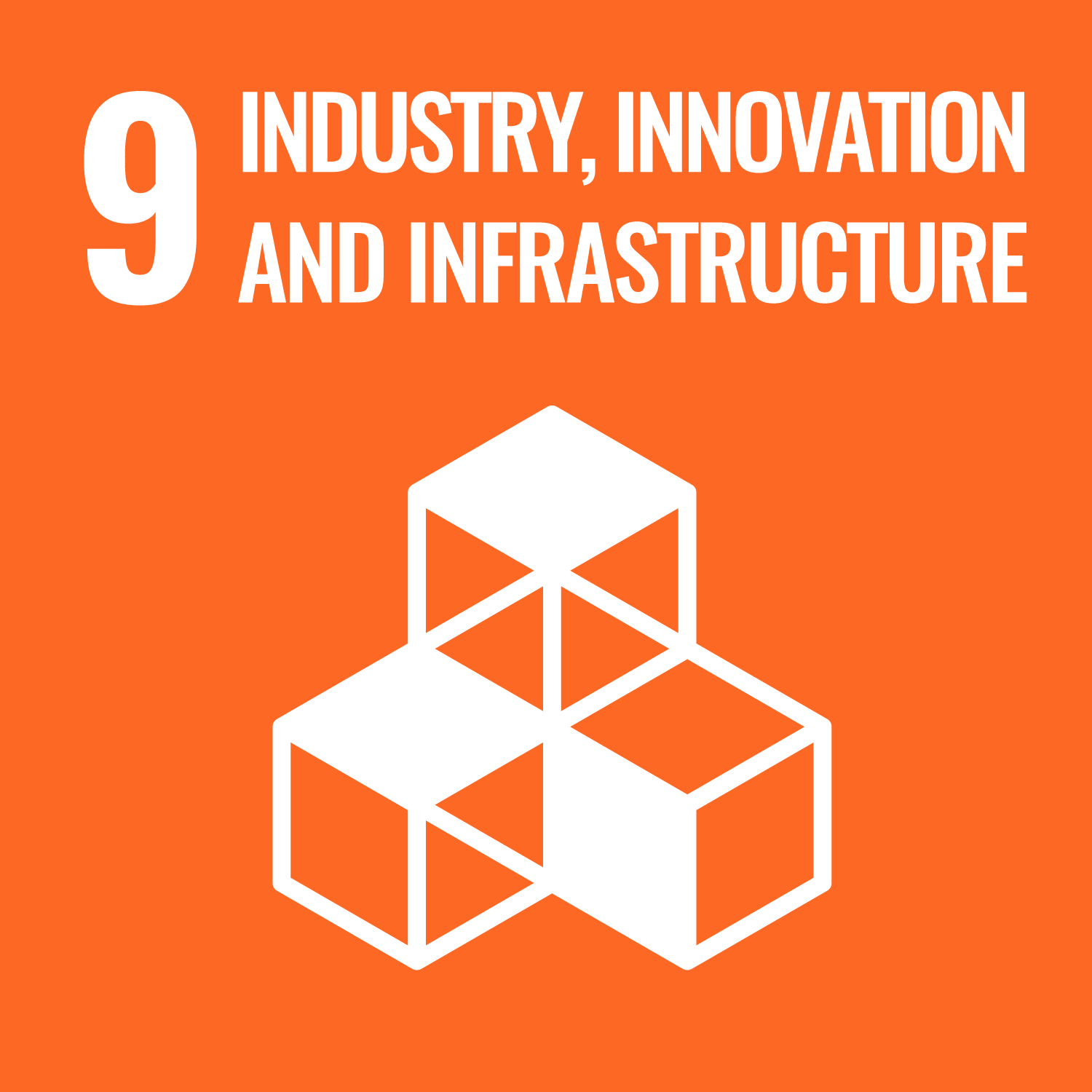sdg-risaia-del-duca-9-imprese-innovazione-e-infrastrutture