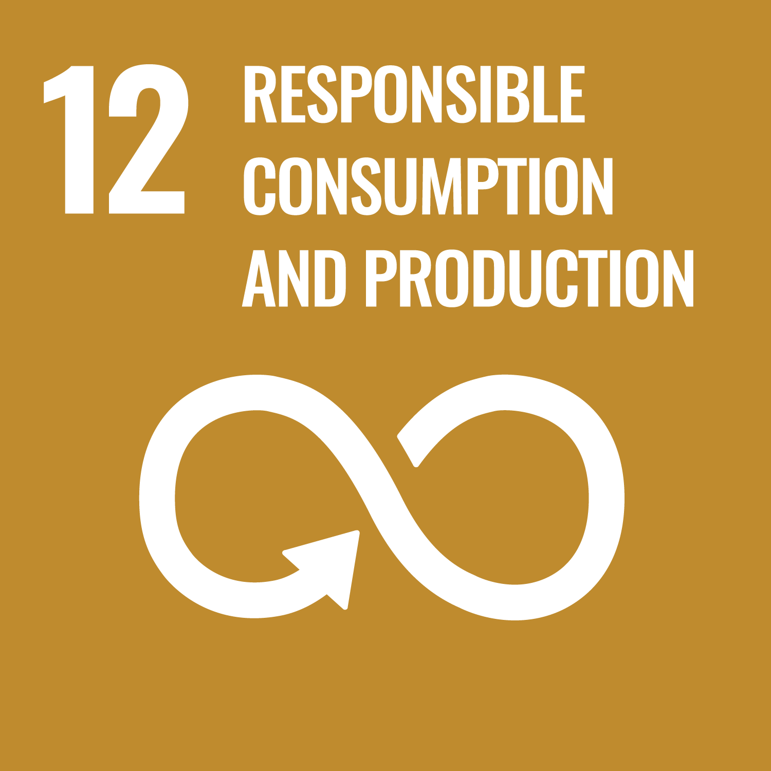 sdg-risaia-del-duca-12-consumo-responsabile