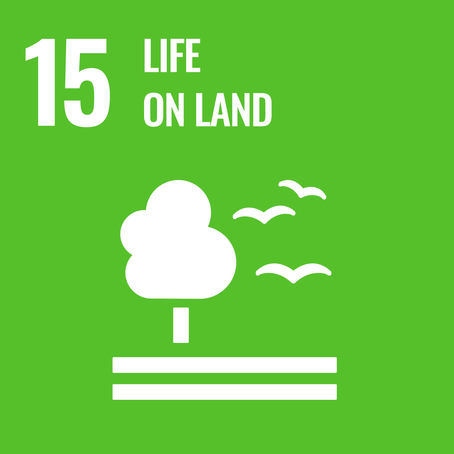 sdg-risaia-del-duca-15-la-vita-sulla-terra