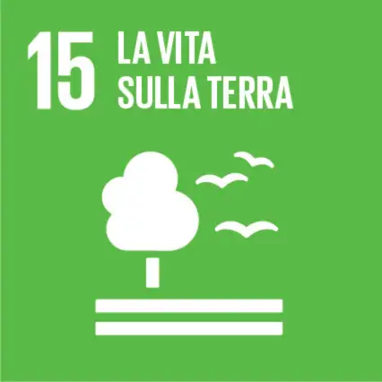 sdg-risaia-del-duca-15-la-vita-sulla-terra