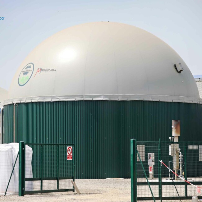 Il team di Risaia del Duca unisce passione e dedizione per un’agricoltura sostenibile e rispettosa dell’ambiente, promuovendo benessere animale ed economia circolare. biogas-risaia-del-duca-modena