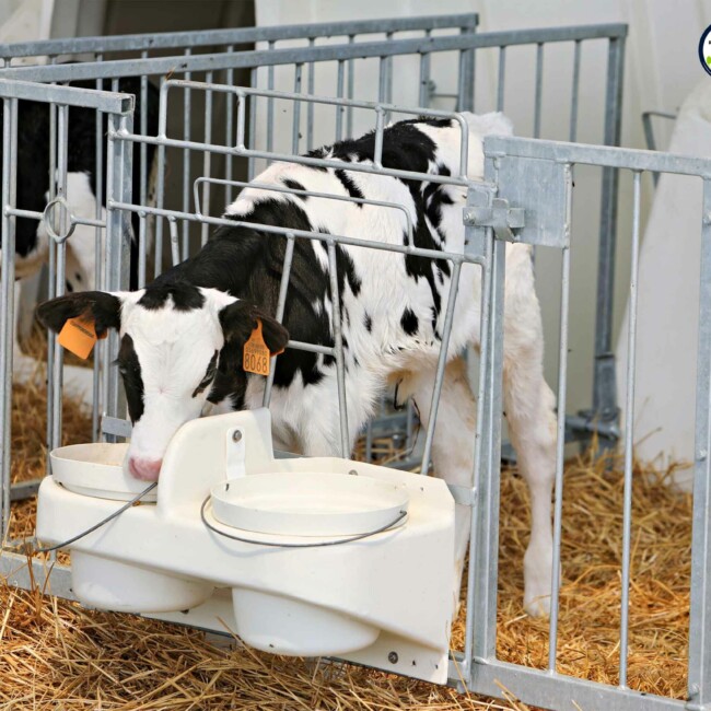 Il team di Risaia del Duca unisce passione e dedizione per un’agricoltura sostenibile e rispettosa dell’ambiente, promuovendo benessere animale ed economia circolare. stalla-risaia-del-duca-modena