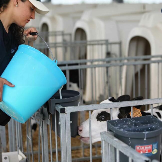 Il team di Risaia del Duca unisce passione e dedizione per un’agricoltura sostenibile e rispettosa dell’ambiente, promuovendo benessere animale ed economia circolare. stalla-risaia-del-duca-modena