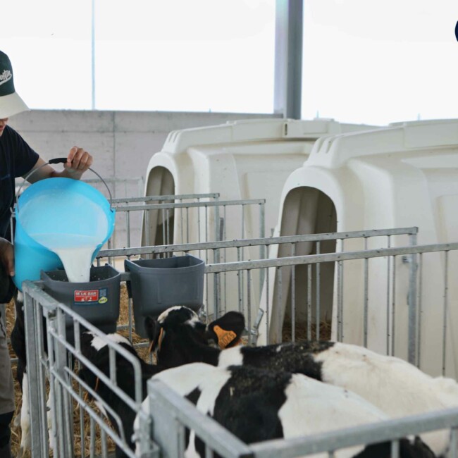 Il team di Risaia del Duca unisce passione e dedizione per un’agricoltura sostenibile e rispettosa dell’ambiente, promuovendo benessere animale ed economia circolare. stalla-risaia-del-duca-modena